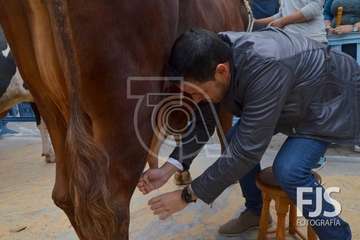  El alcalde de Telde se va con 'Rosita' (Foto TA)